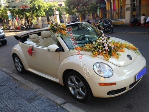 Con bọ Volkswagen Beetle tái sinh thành xe thể thao độc đáo  Tạp chí Giao  thông vận tải